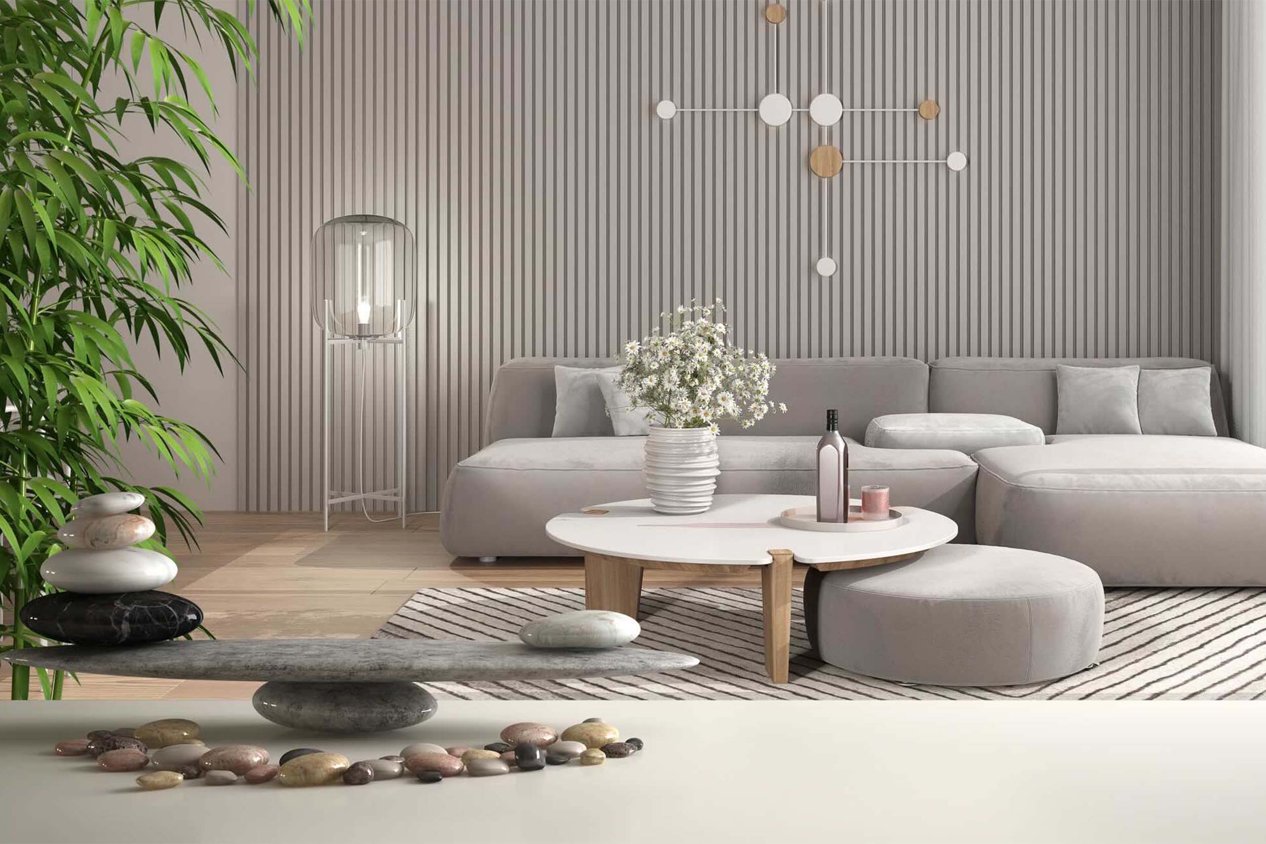 Dnevna soba po feng shui – kam umestiti kavč, televizijo in rastline